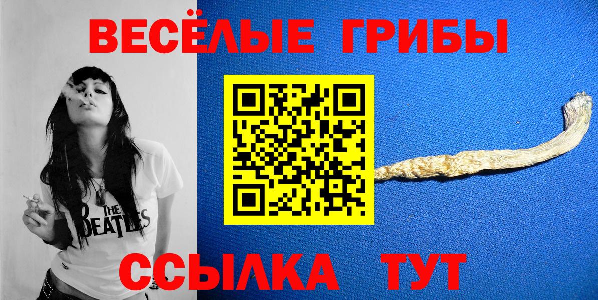 Ярцево  Галлюциногенные грибы прущие грибы  Вход с VPN 