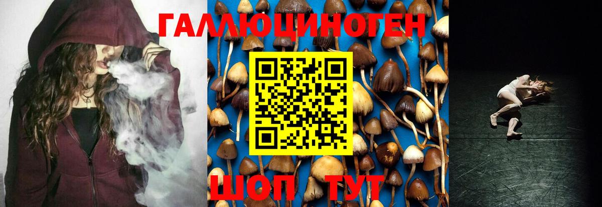 Псилоцибиновые грибы Psilocybine cubensis Ярцево